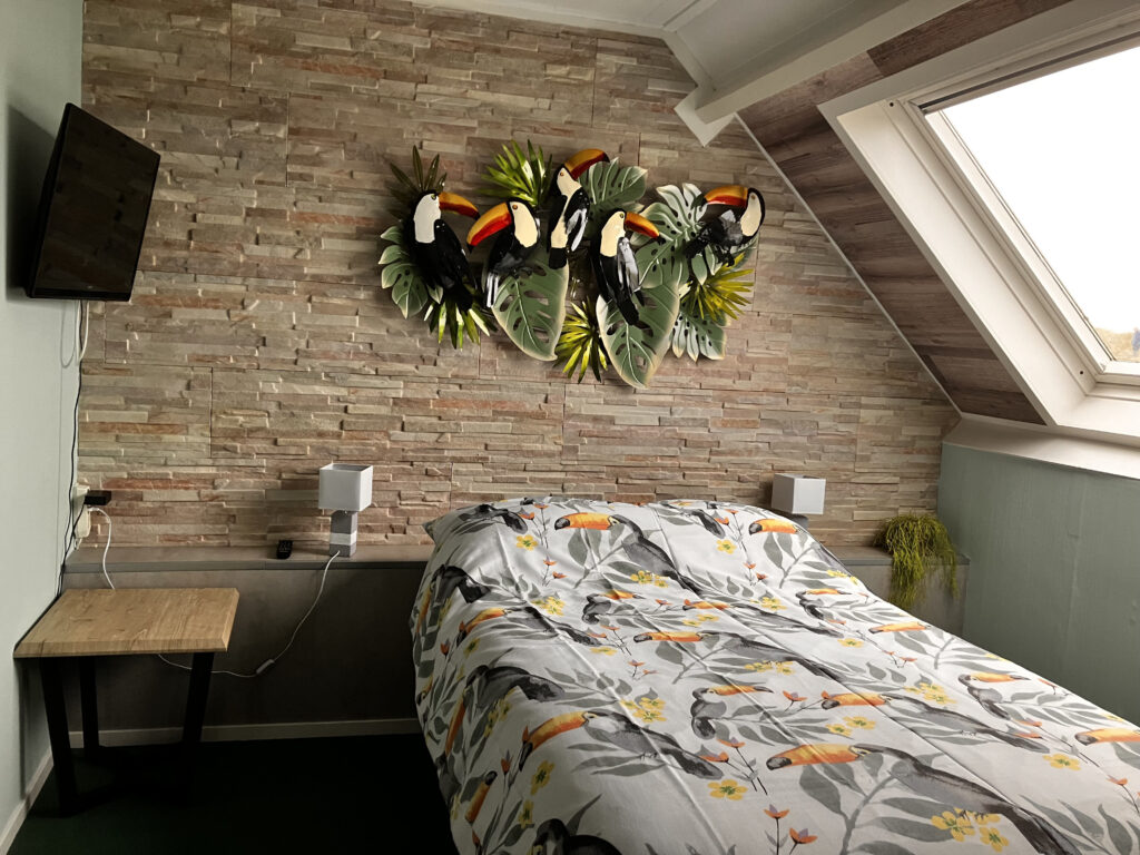 Dichtbijzee hotel Deluxe eenpersoonskamer foto 3