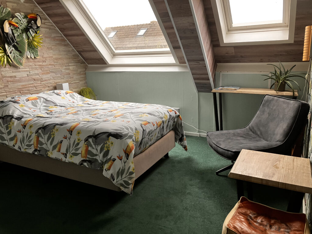 Hotel Deluxe 1 persoonskamer