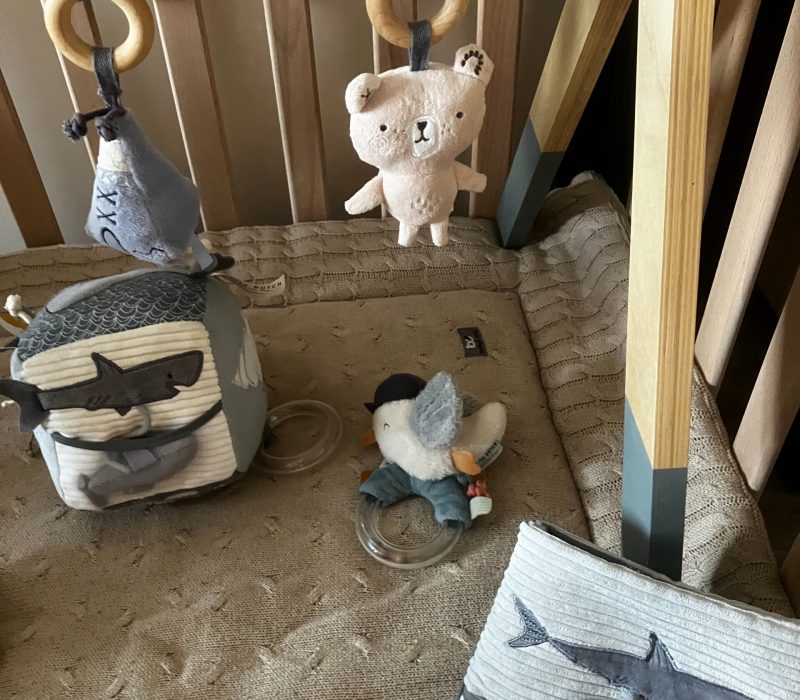 imgi_119_Dichtbijzee-de-reddingboot-box-scaled